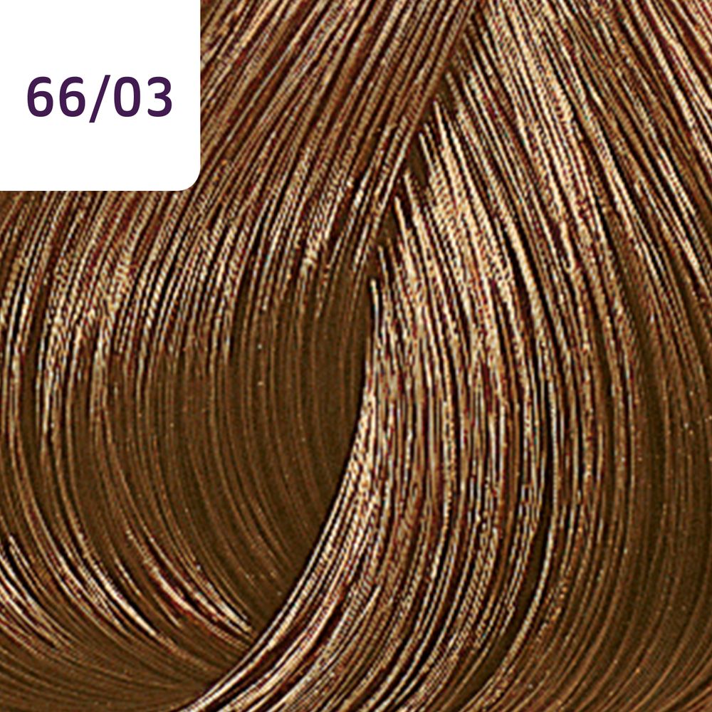 0405406-003-COLOR_TOUCH_66-03_LOURO_ESCURO_INTENSO_NATURAL_DOURADO_-_TONALIZANTE