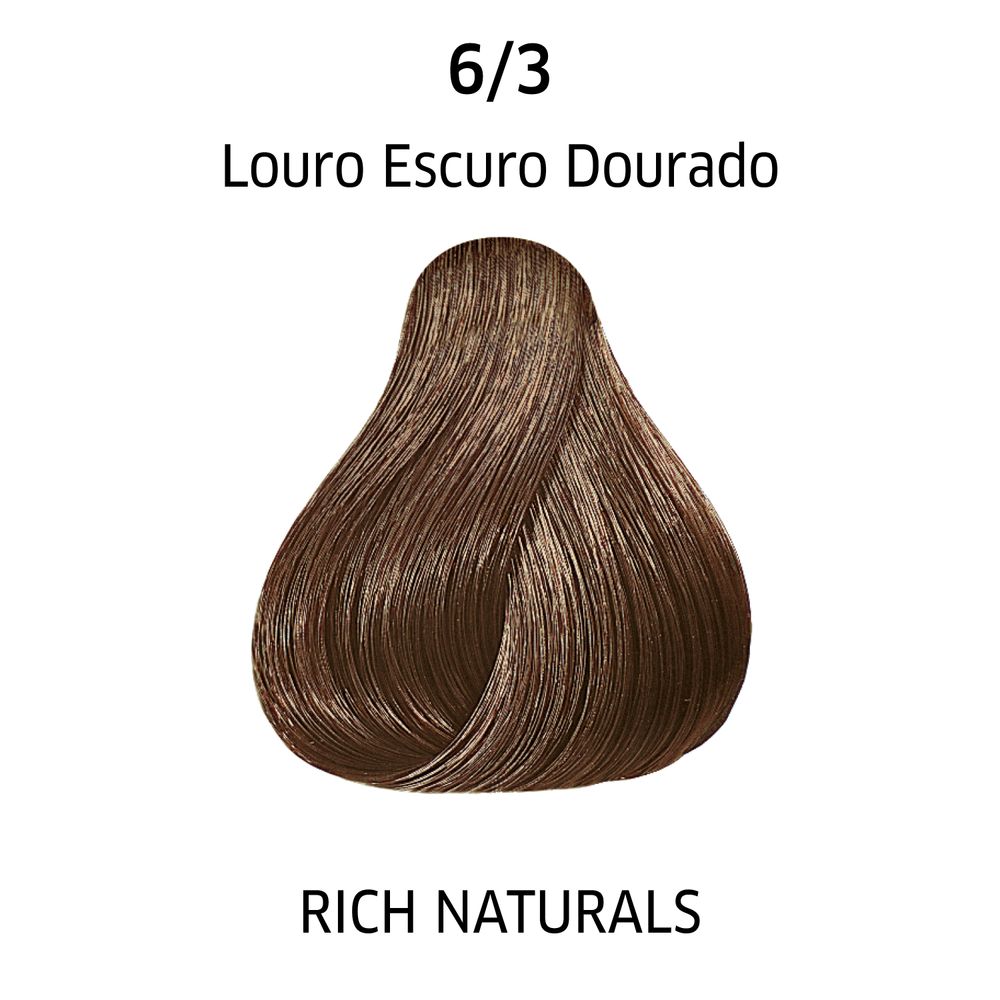 0405650-003-COLOR_PERFECT_6-3_LOURO_ESCURO_DOURADO_-_COLORACAO_60ML